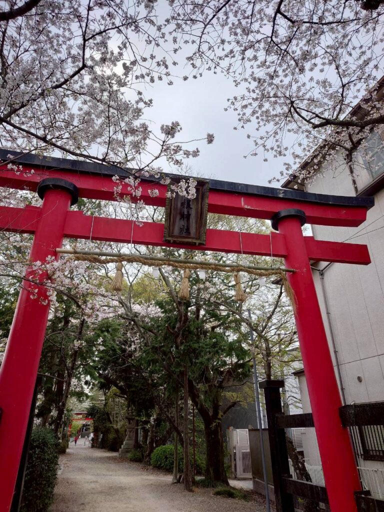 参道と桜の景色