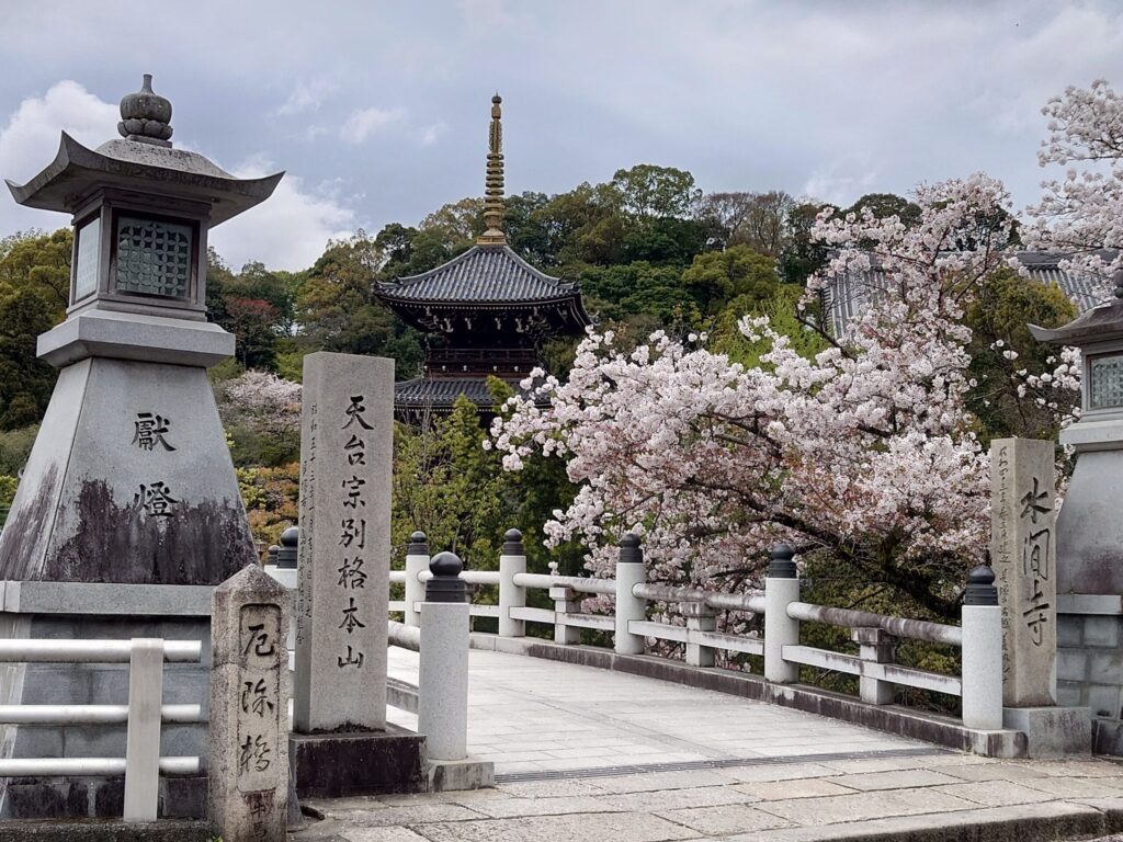 厄除け橋と満開の桜