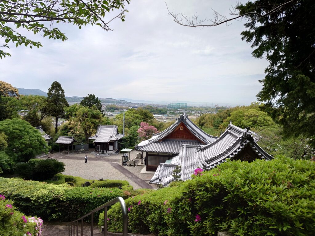 高台からの眺望